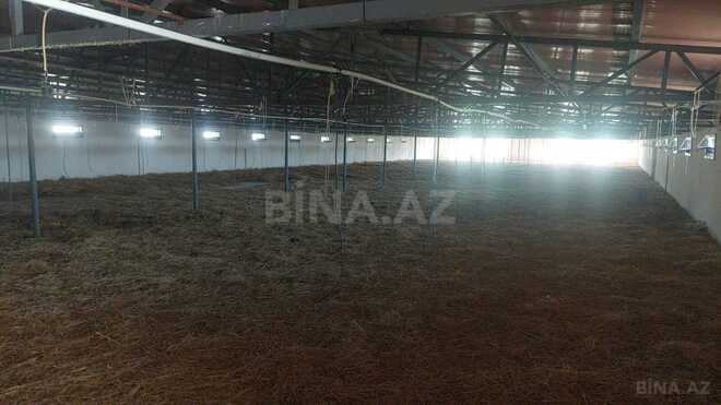 İcarəyə verilir  obyekt 16 000 m², Xaçmaz r., photo 8 from 32