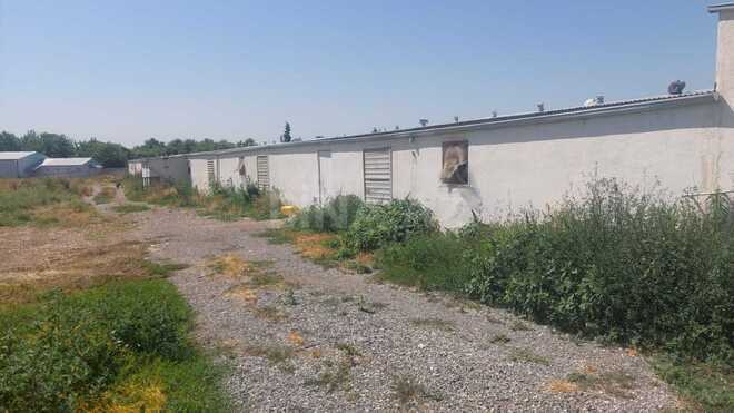 İcarəyə verilir  obyekt 16 000 m², Xaçmaz r., photo 13 from 32
