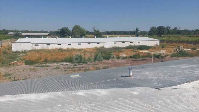 İcarəyə verilir  obyekt 16 000 m², Xaçmaz r., photo 10 from 32