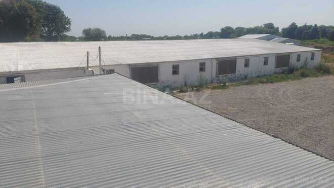 İcarəyə verilir  obyekt 16 000 m², Xaçmaz r., photo 12 from 32