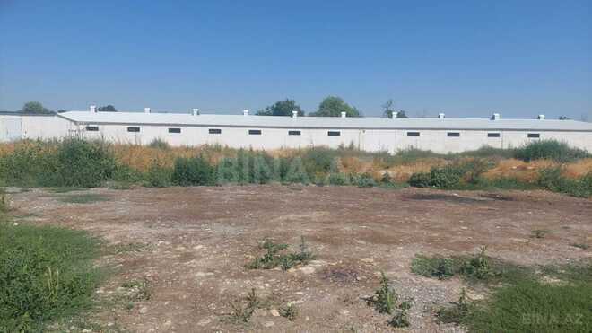 İcarəyə verilir  obyekt 16 000 m², Xaçmaz r., photo 14 from 32