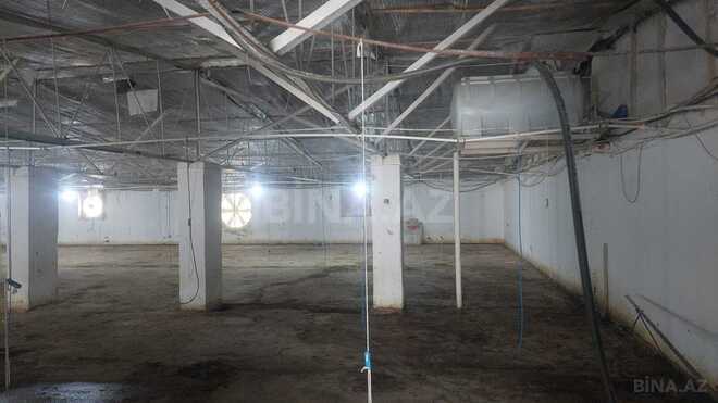 İcarəyə verilir  obyekt 16 000 m², Xaçmaz r., photo 20 from 32
