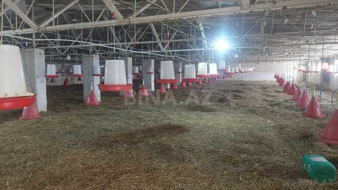 İcarəyə verilir  obyekt 16 000 m², Xaçmaz r., photo 17 from 32