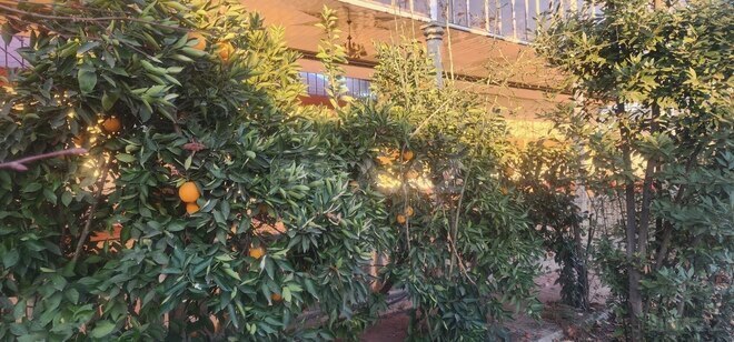 Продаётся 4-комн. дом/дача 170 м², photo 14 from 27