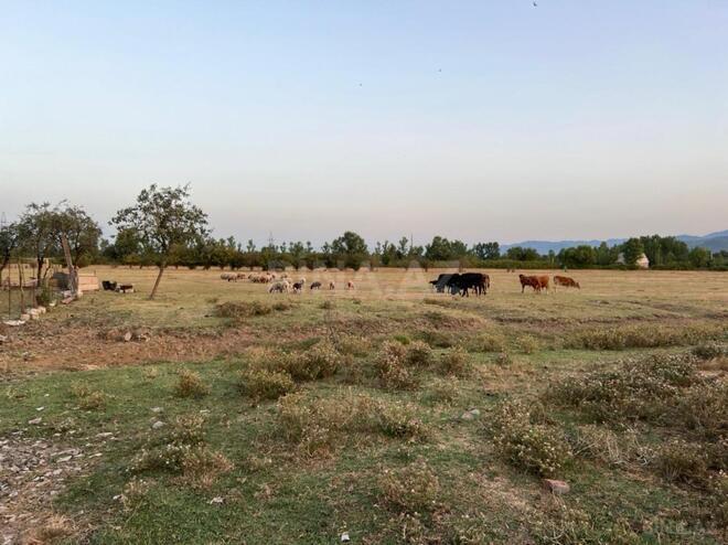 Продаётся  участок 4 сот, photo 11 from 12