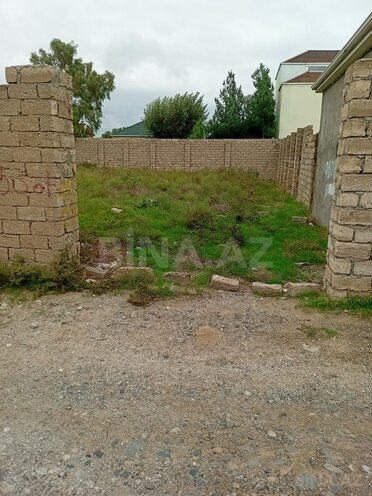 Satılır  torpaq 6 sot, Türkan q., photo 3 from 5