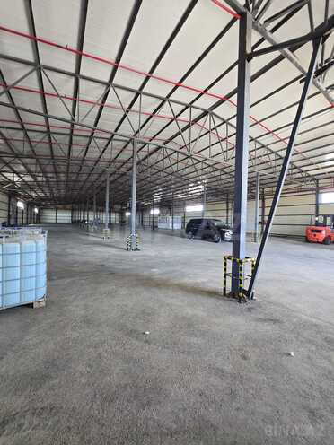 Сдаётся  объект 1 000 м², пос. Пута, photo 5 from 12