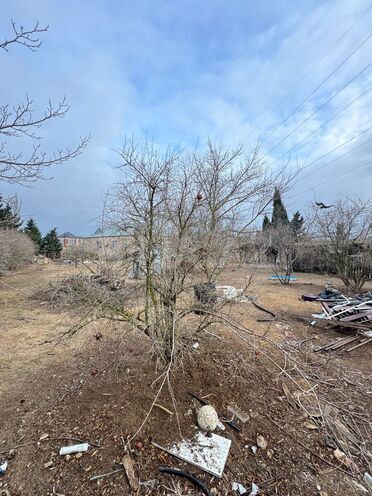 Продаётся  участок 12 сот, пос. Шувеляны, photo 15 from 17