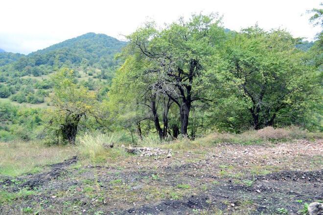 Satılır  torpaq 80 sot, photo 3 from 21