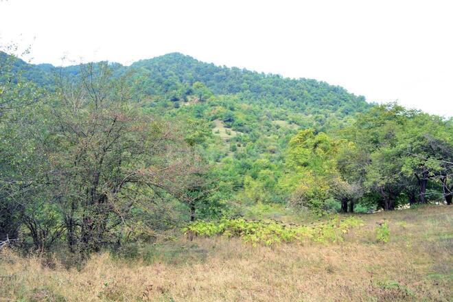 Satılır  torpaq 80 sot, photo 4 from 21