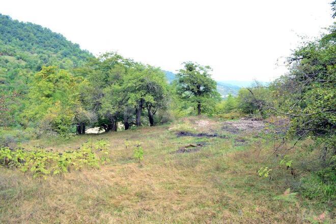 Satılır  torpaq 80 sot, photo 13 from 21