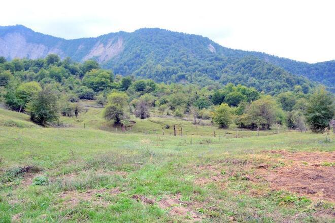 Satılır  torpaq 80 sot, photo 12 from 21