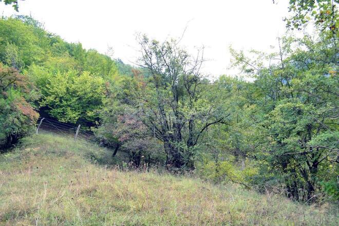 Satılır  torpaq 80 sot, photo 7 from 21