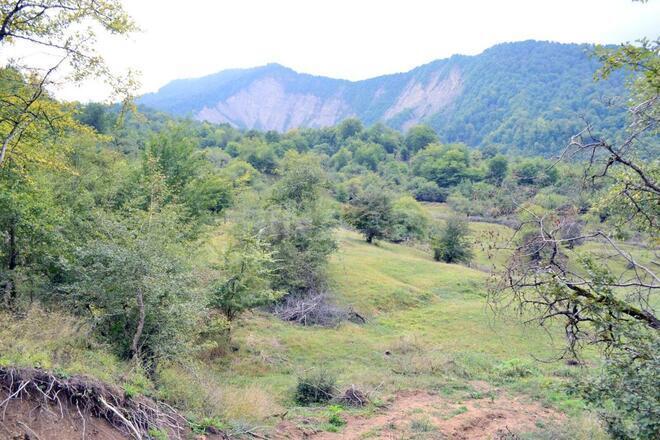 Satılır  torpaq 80 sot, photo 6 from 21