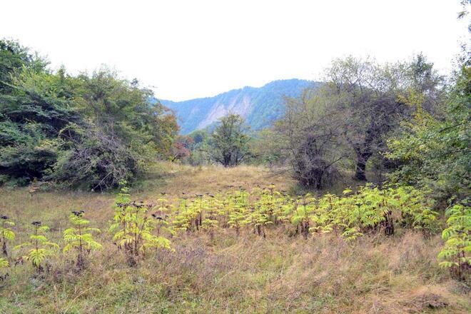 Satılır  torpaq 80 sot, photo 20 from 21