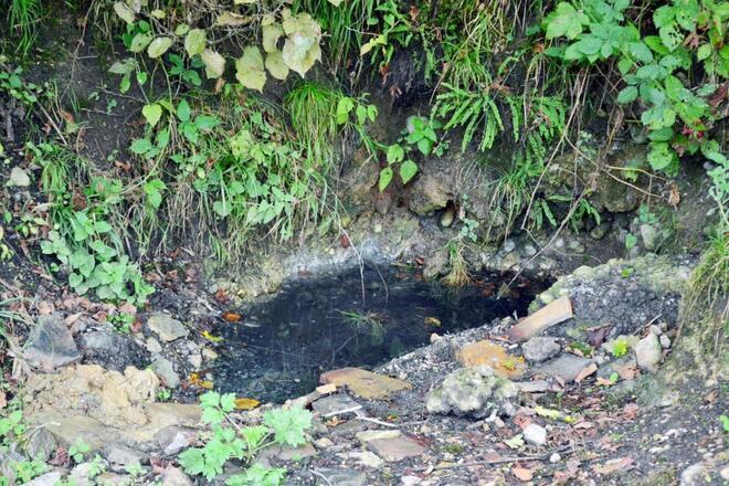 Satılır  torpaq 80 sot, photo 19 from 21