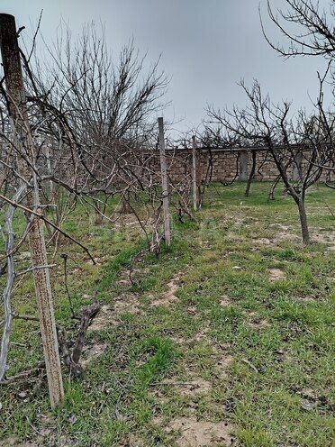 Продаётся  участок 2 сот, пос. Горадил, photo 6 from 7