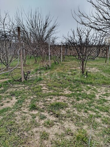 Продаётся  участок 2 сот, пос. Горадил, photo 4 from 7