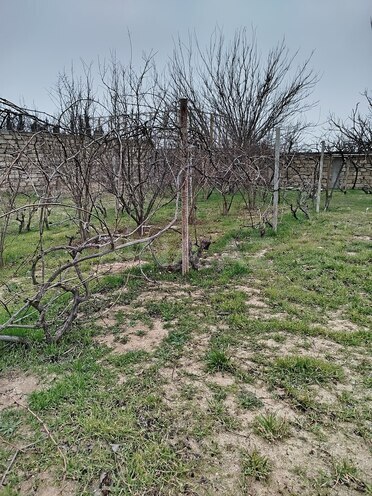 Продаётся  участок 2 сот, пос. Горадил, photo 5 from 7