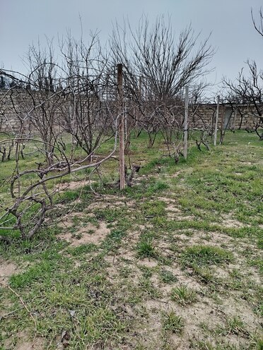 Продаётся  участок 2 сот, пос. Горадил, photo 3 from 7