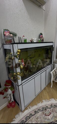 Satılır 5 otaqlı həyət evi/bağ evi 368 m², Əhmədli m., photo 13 from 32