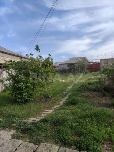 Продаётся  участок 10 сот, Абшеронcкий  р., photo 11 from 12