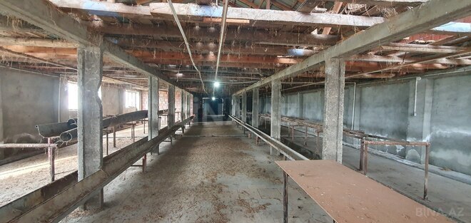 Satılır  torpaq 150 sot, Astara r., photo 3 from 28