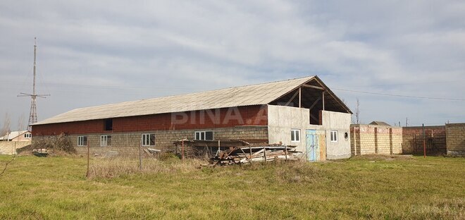 Satılır  torpaq 150 sot, Astara r., photo 21 from 28