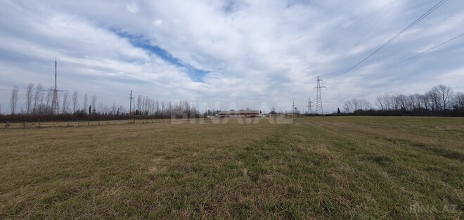 Satılır  torpaq 150 sot, Astara r., photo 12 from 28