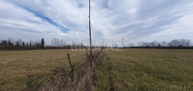 Satılır  torpaq 150 sot, Astara r., photo 11 from 28