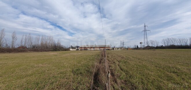 Satılır  torpaq 150 sot, Astara r., photo 5 from 28