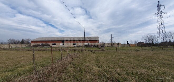 Satılır  torpaq 150 sot, Astara r., photo 4 from 28