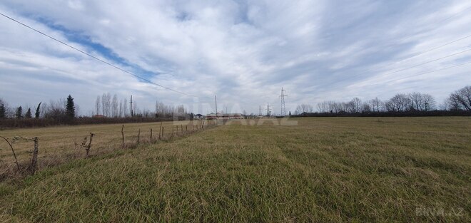 Satılır  torpaq 150 sot, Astara r., photo 10 from 28