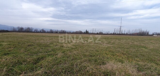 Satılır  torpaq 150 sot, Astara r., photo 14 from 28