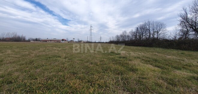 Satılır  torpaq 150 sot, Astara r., photo 13 from 28