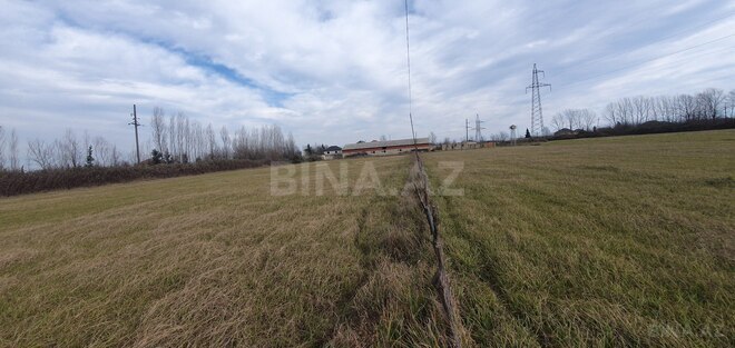 Satılır  torpaq 150 sot, Astara r., photo 6 from 28