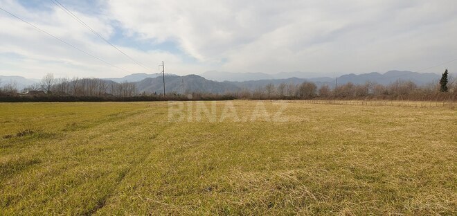 Satılır  torpaq 150 sot, Astara r., photo 22 from 28