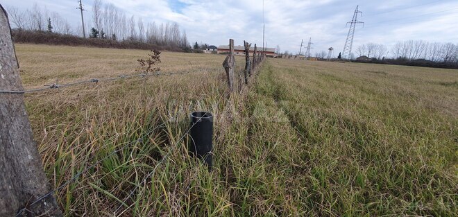 Satılır  torpaq 150 sot, Astara r., photo 8 from 28