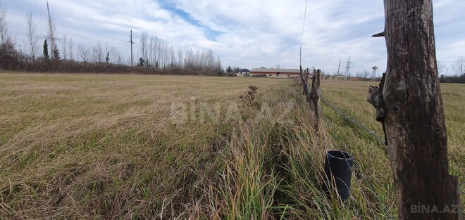 Satılır  torpaq 150 sot, Astara r., photo 7 from 28