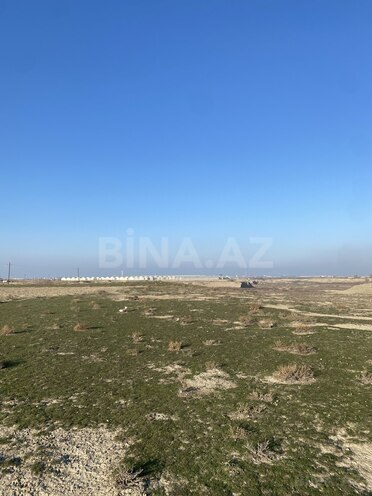 İcarəyə verilir  torpaq 1 000 sot, Pirəkəşkül q., photo 4 from 11