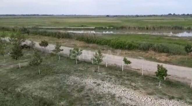 Продаётся  объект 1 600 м², Хачмазский р., photo 10 from 14