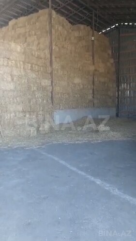 Продаётся  объект 1 600 м², Хачмазский р., photo 8 from 14