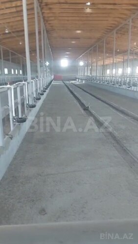 Продаётся  объект 1 600 м², Хачмазский р., photo 3 from 14