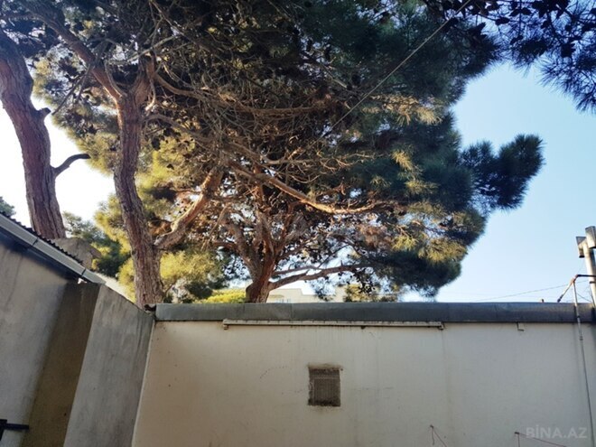 Сдаётся 3-комн. дом/дача 90 м², Ясамальский р., photo 27 from 32