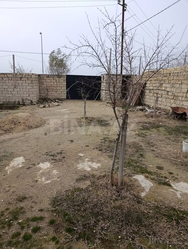 Satılır  torpaq 11 sot, Türkan q., photo 11 from 12