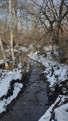 Продаётся 3-комн. дом/дача 75.5 м², photo 5 from 6