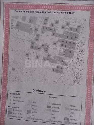 Satılır  torpaq 6 sot, Türkan q., photo 3 from 4