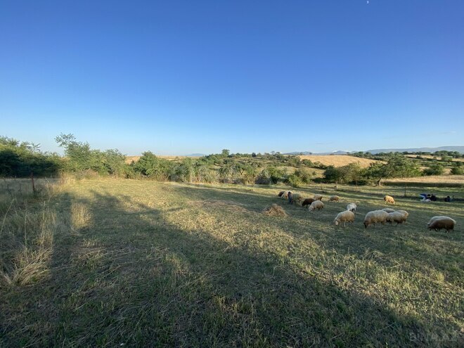 Продаётся  участок 27 сот, photo 10 from 14