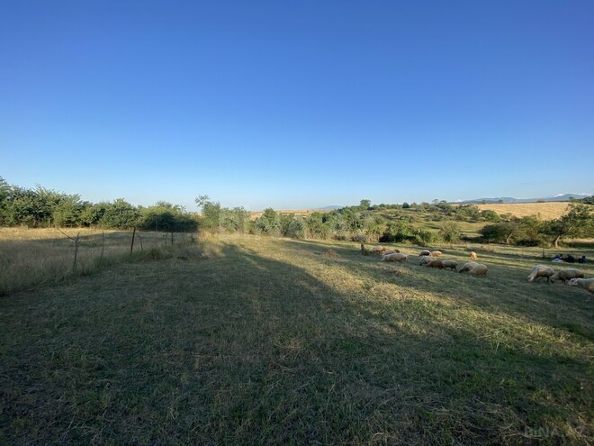 Продаётся  участок 27 сот, photo 11 from 14