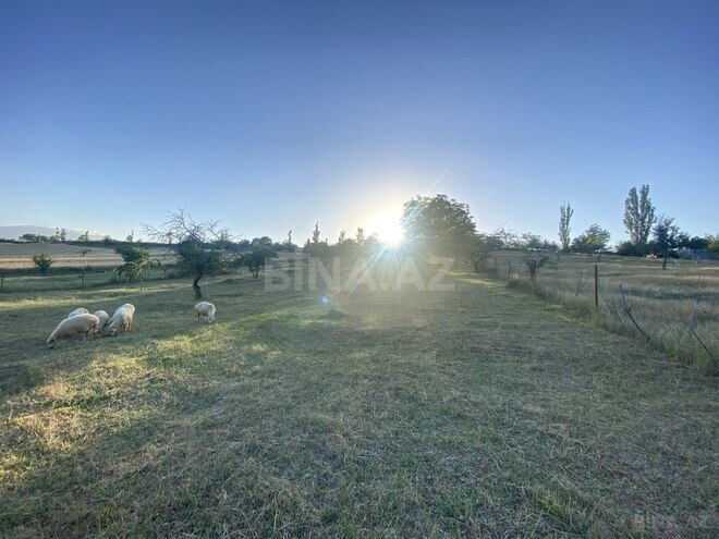 Продаётся  участок 27 сот, photo 7 from 14